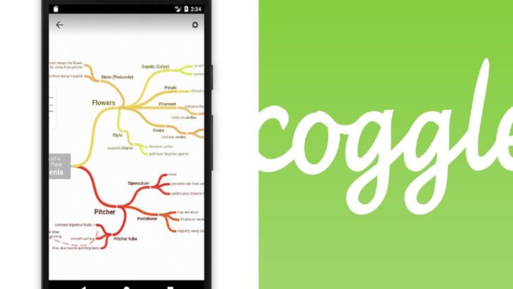 Coggle se consagra como um dos  melhores aplicativos de mapa mental