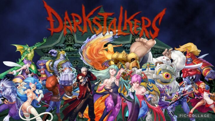 A franquia Darkstalkers é reconhecida como um dos melhores jogos de vampiro pois apresenta uma grande variedade de personagens, cada um com habilidades e estilos de luta únicos