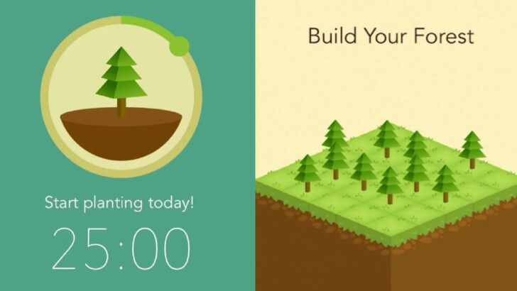 Use a metodologia do Forest para acabar de vez com a procrastinação