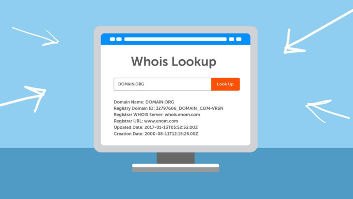 Para identificar sites fraudulentos, o Whois é uma ferramenta útil que permite visualizar informações sobre o domínio, incluindo a data de criação e detalhes do titular